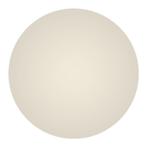 Color Silver Ash