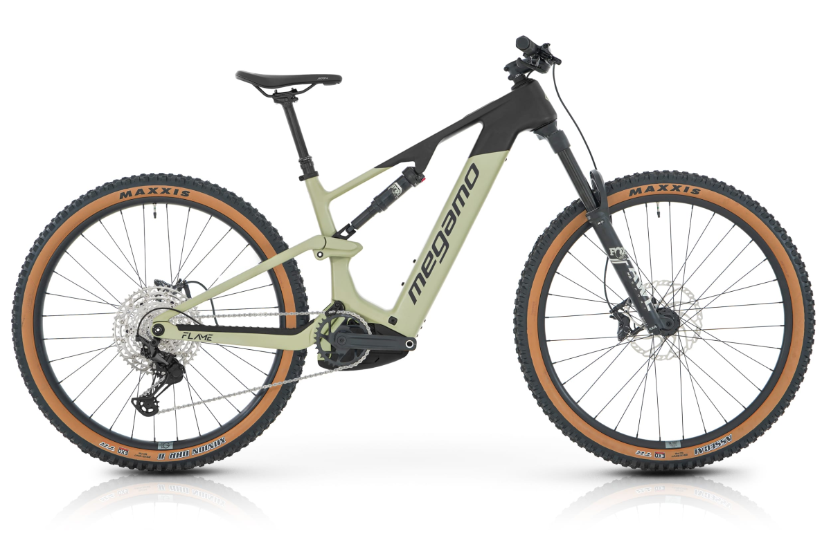  FLAME CRB 05 - SAGE S (26)