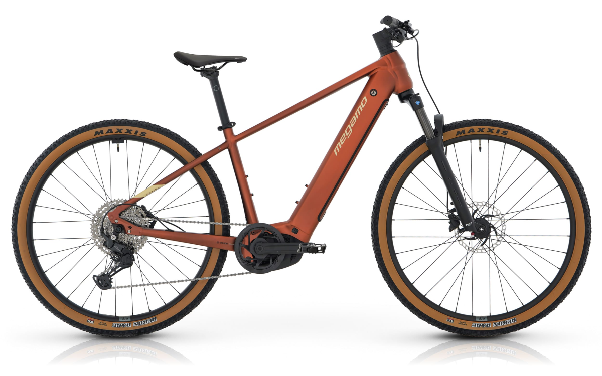 REACH HT 10 - BROWN S (26)