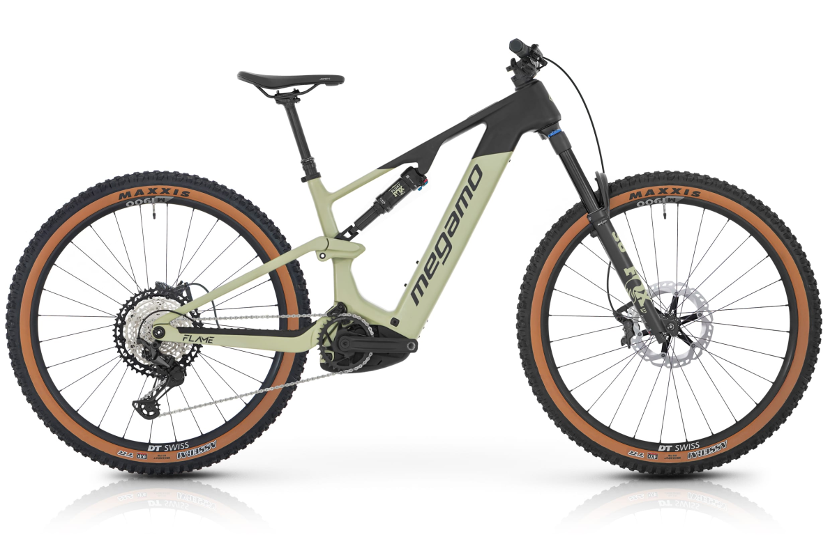  FLAME CRB 05 - SAGE S (26)