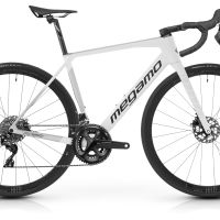 Megamo raise 10 2019 sales